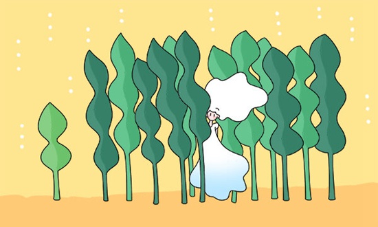 肇庆科技中等职业学校2026年招生专业有哪些