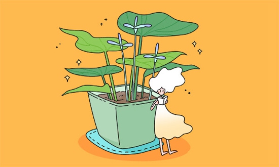 连州职业技术学校2026年招生专业有哪些