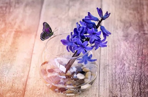 怀化2023年机电一体化专业哪个职业学校好