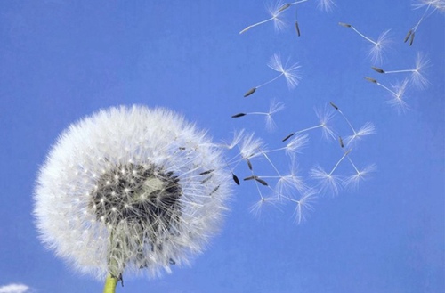 2023年宁波国际商务专业技工学校哪所好