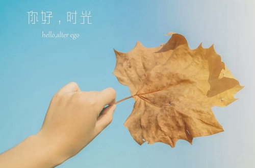 绍兴2023年有哪所学校有园林技术专业