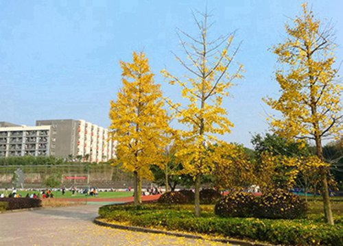 邵阳2023年比较好且开设有田径专业的中专学校有哪些