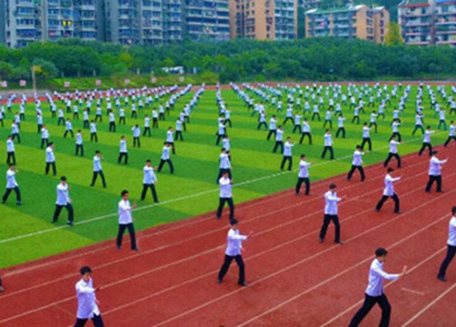 阜阳2023年有哪所学校有中药专业