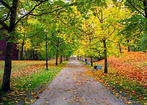 温州2023年读多媒体制作专业哪所中专学校好