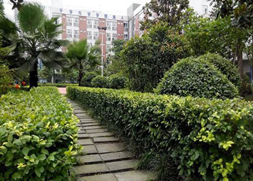 长沙2023年读办公自动化专业哪所学校好