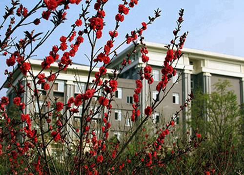 2023年嘉兴市场营销专业中专学校推荐 哪所学校好